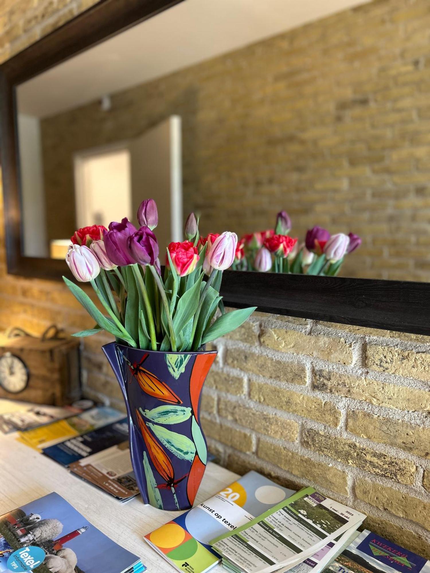 B&B De Oude Skuur Texel Oosterend  Екстериор снимка